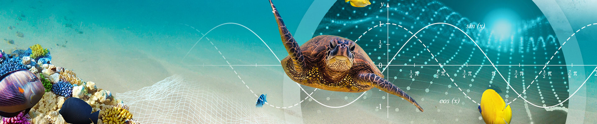 Ozeane und Meere – Mathematik zum eintauchen